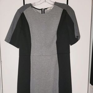 Loft dress, never worn